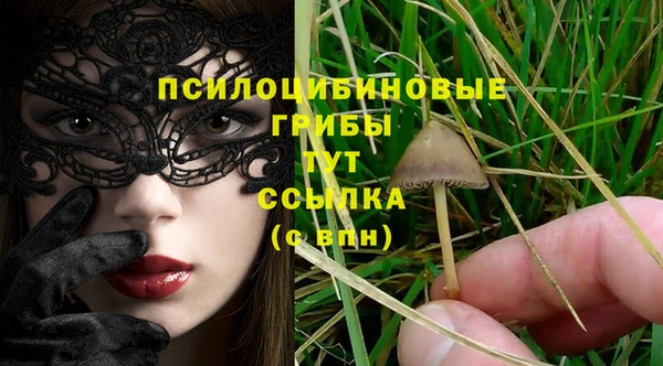 первитин Костерёво